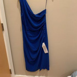 Dress the Population: Size XXL Blue Rouched Bodycon Dress